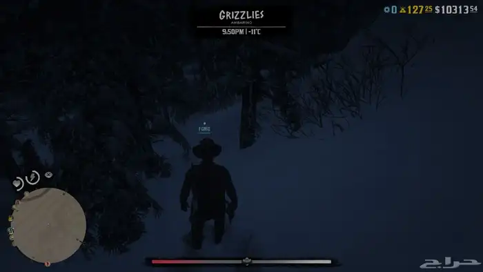 حساب سوني لعبة. Red Dead Redemption 2 1