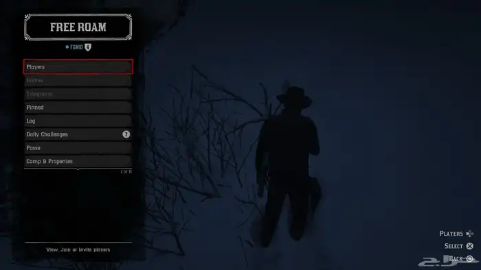 حساب سوني لعبة. Red Dead Redemption 2 0