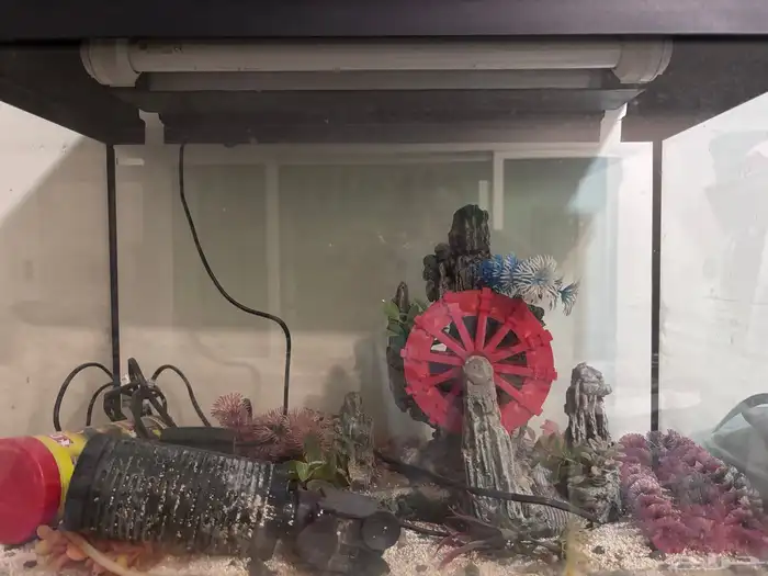 حوض سمك للبيع اي سومة تحت 130 لن انظر لها 0