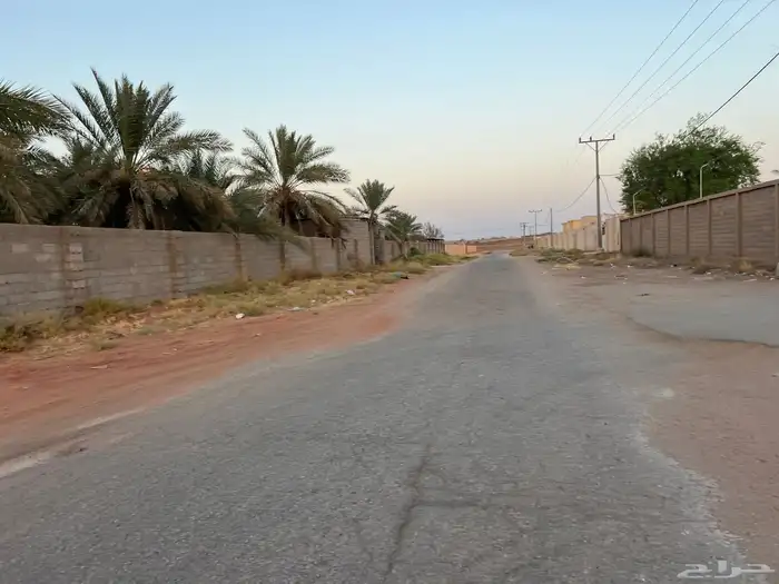 ارض زراعية للبيع مساحتها 10 الاف متر 3