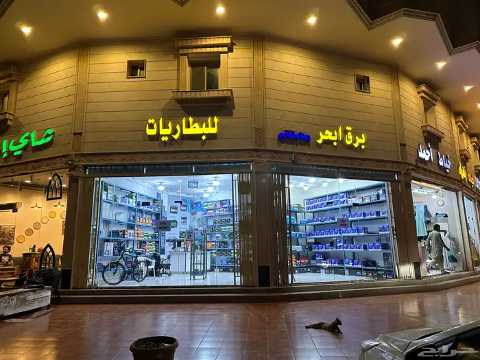 بطاريات السيارات 1