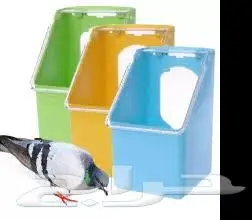 طيور زينة ومستلزماتها محل نوادر خميس مشيط 29