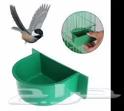 طيور زينة ومستلزماتها محل نوادر خميس مشيط 37