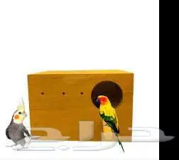 طيور زينة ومستلزماتها محل نوادر خميس مشيط 47