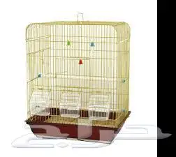 طيور زينة ومستلزماتها محل نوادر خميس مشيط 43