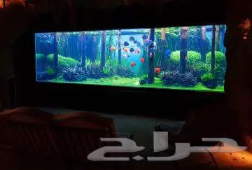 تفصيل احواض سمك زينه ديكور ومودرن بجميع المقاسات والتصميمات 4