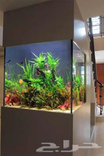 تفصيل احواض سمك زينه ديكور ومودرن بجميع المقاسات والتصميمات 1