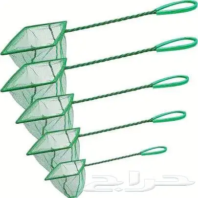 طيور زينة ومستلزماتها محل نوادر خميس مشيط 19