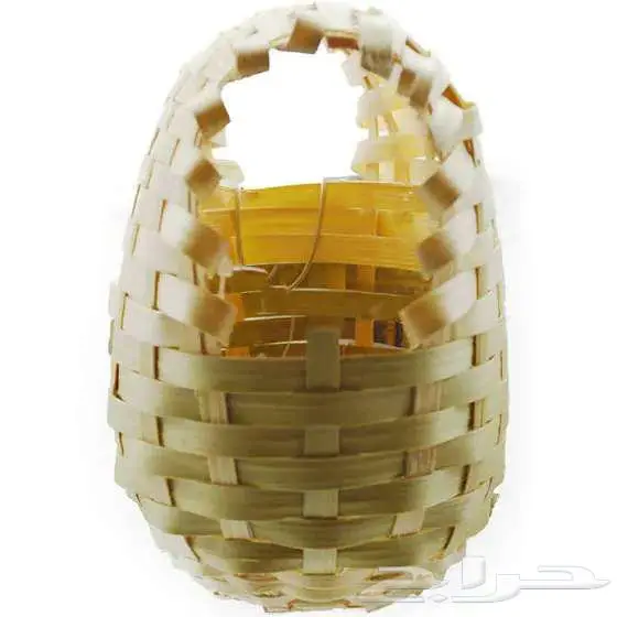 طيور زينة ومستلزماتها محل نوادر خميس مشيط 22