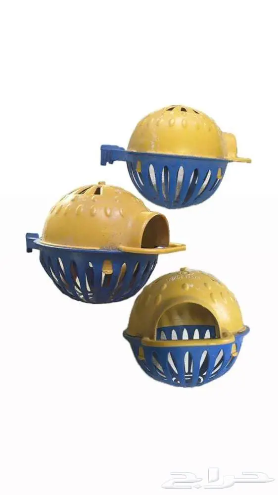 طيور زينة ومستلزماتها محل نوادر خميس مشيط 44