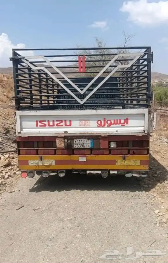 دينه ايسوزو 2010 3
