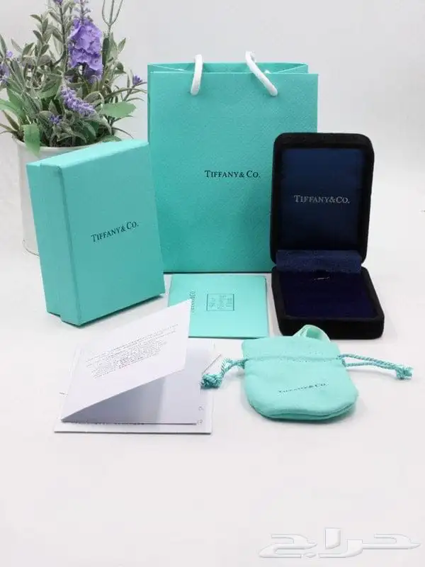 اكسسوارات ماركات بالملحقات. 25