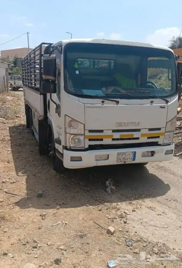 دينه ايسوزو 2010 0