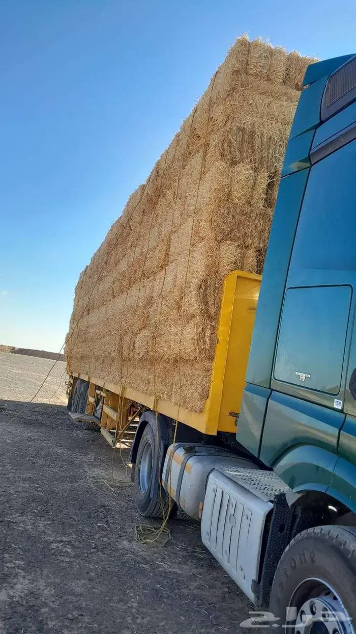 تبن قمح (بر) شد شركه كلاس 1