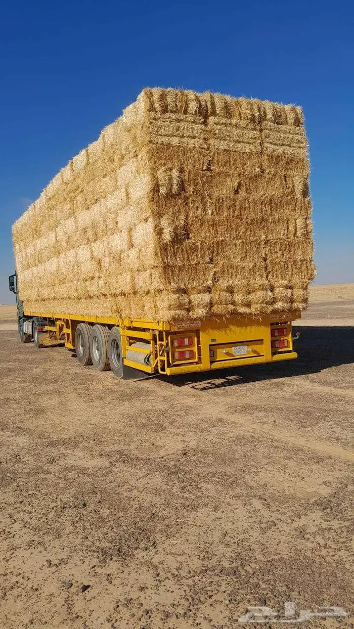 تبن قمح (بر) شد شركه كلاس 0