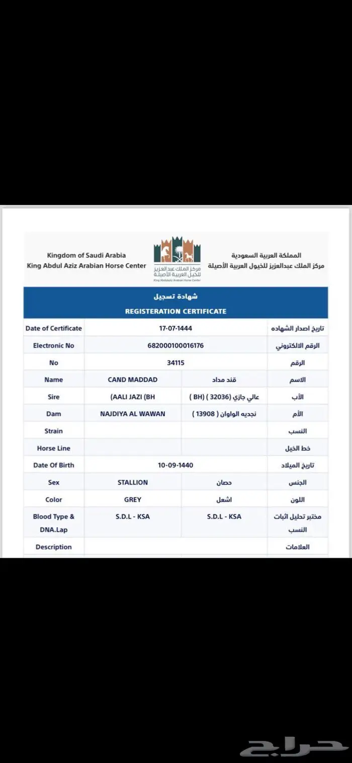 حصان واهو 7