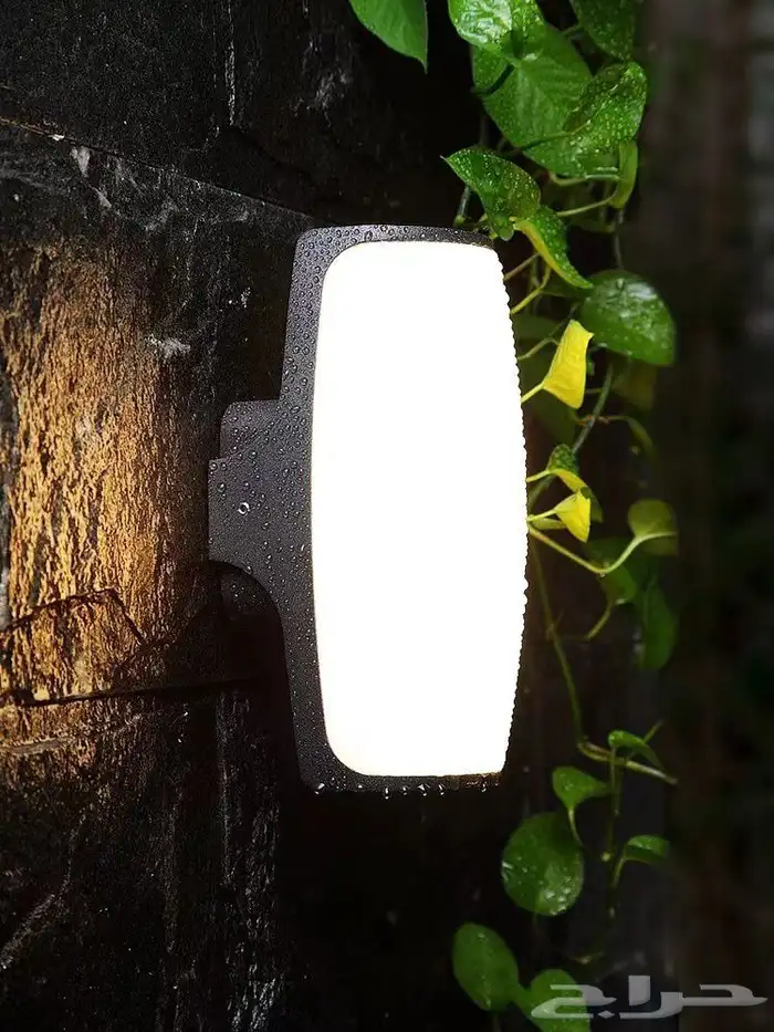 جداريات خارجية مودرن 24