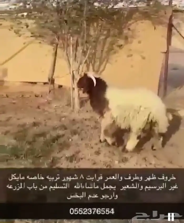 بيع 0