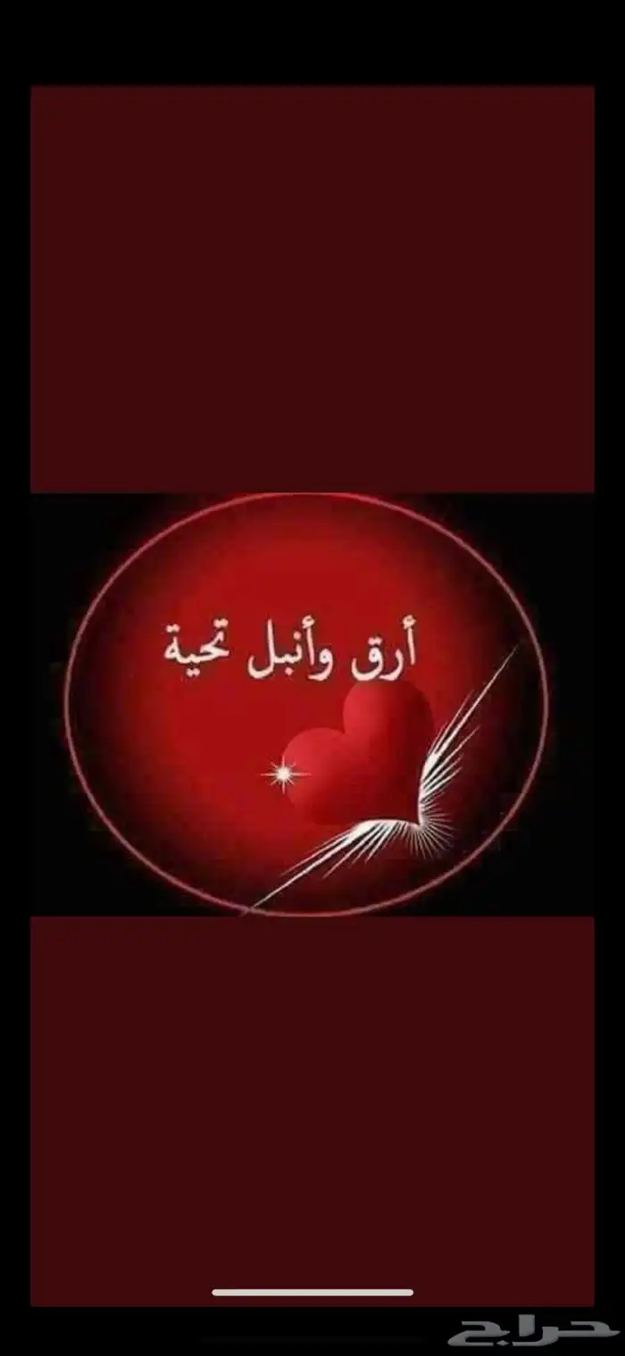 تعليم قياده لوجه الله اللي ماعنده يدفع 0