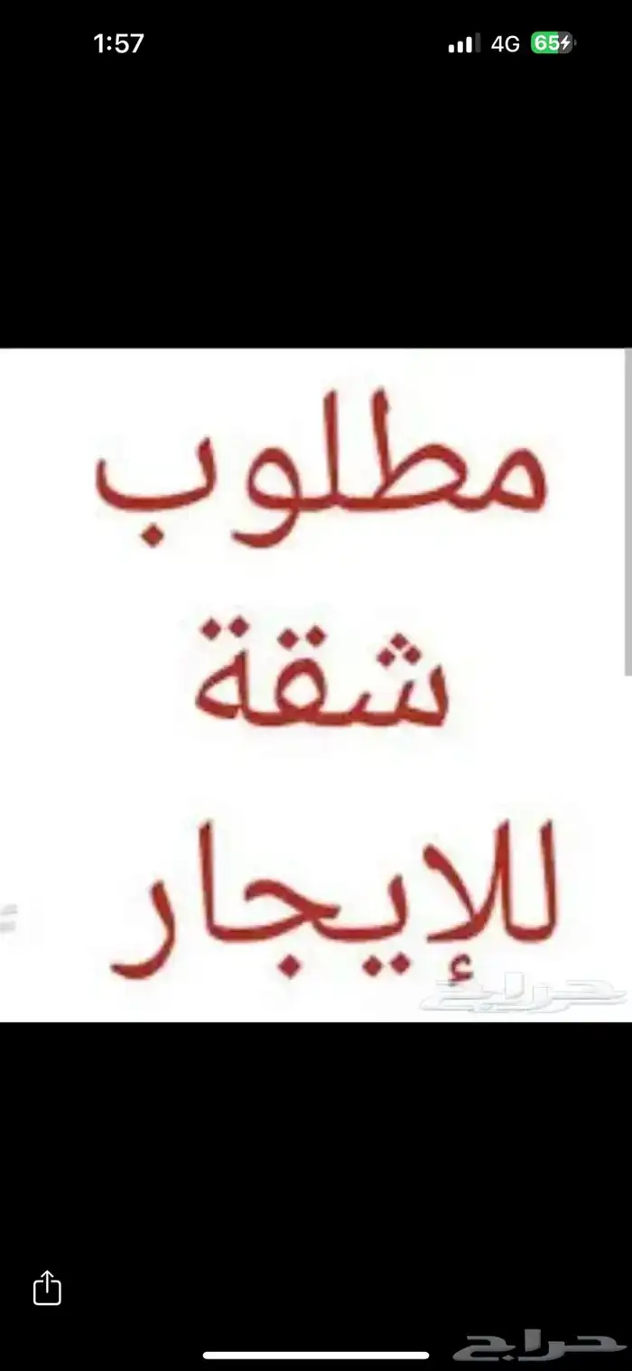 ابغا شقه للاجار 0