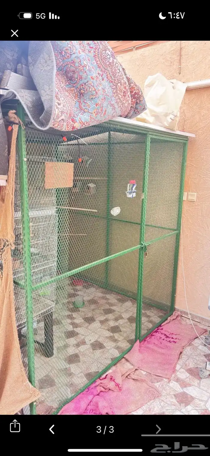 شبك بقلاوه 2 في 2 0