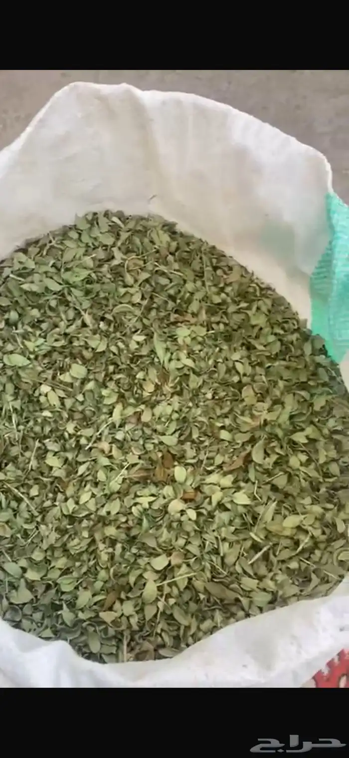 حناء مرتفعات رضوي 0