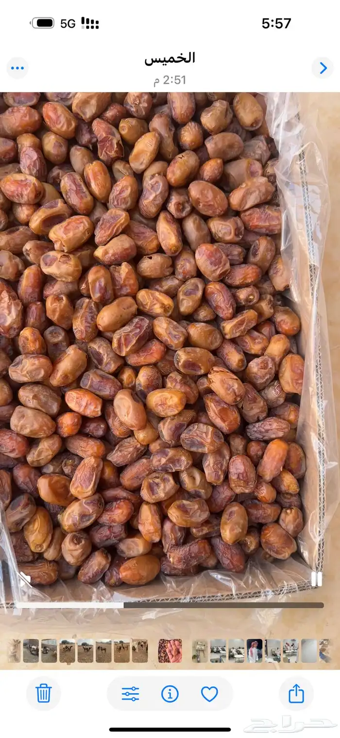 تمر خلاص فاخر 1