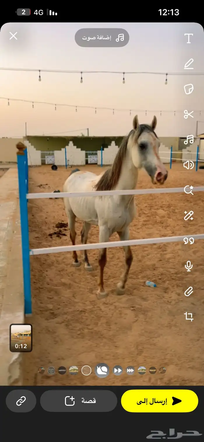 مربط خيل 1