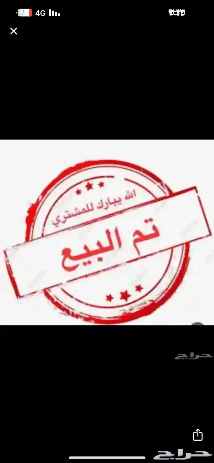 صوص بلدي 0