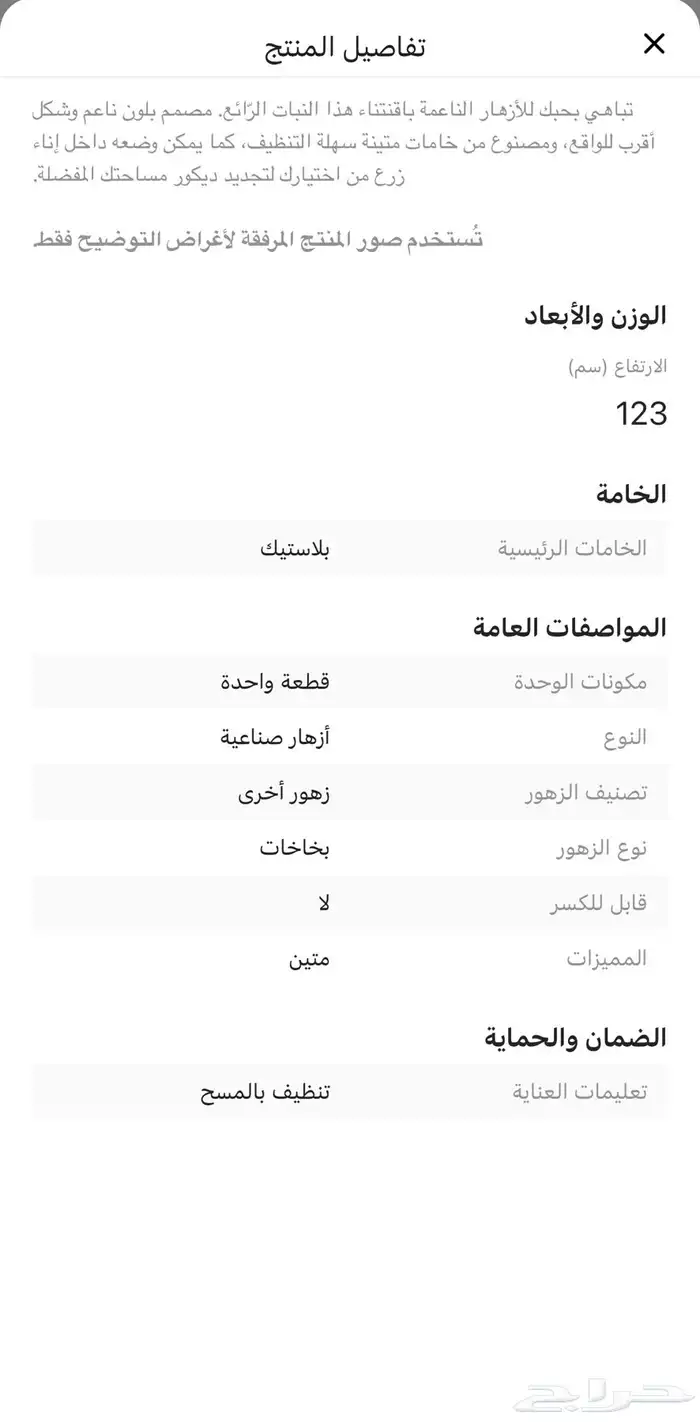 مزهرية مع زهرة من هوم سنتر و تمثال قطة من هوم بوكس 4