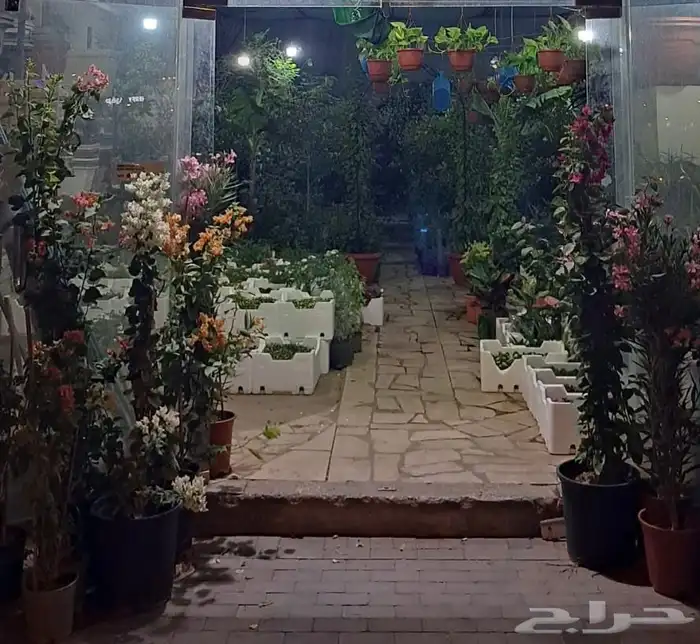 تقبيل محل مشتل في الرياض 0