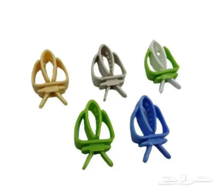 طيور زينة ومستلزماتها محل نوادر خميس مشيط 60