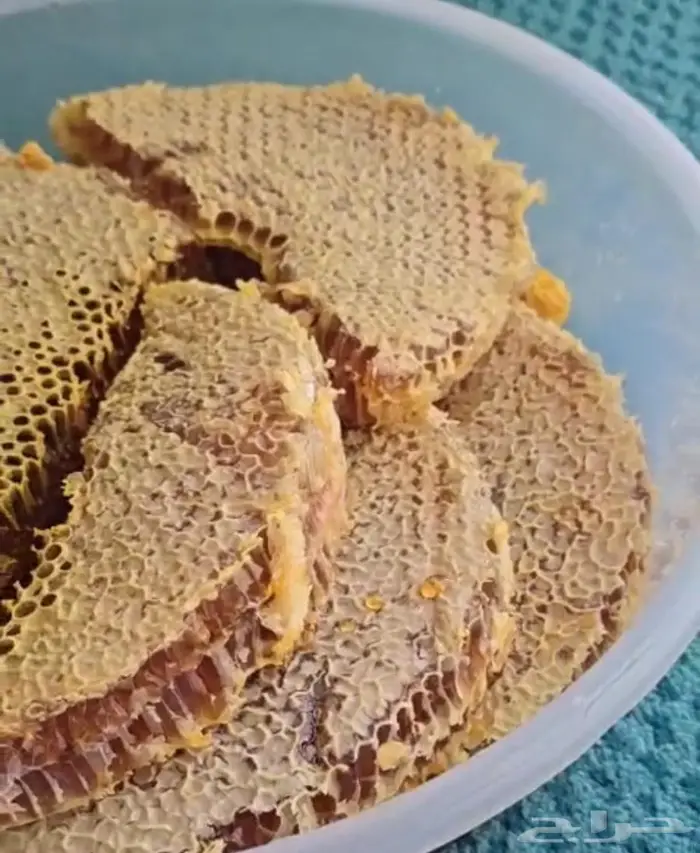 عسل قرض طبيعي 100 2