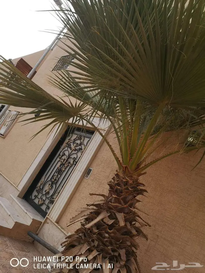 شقة للإيجار في حي العوالي  الرياض 2