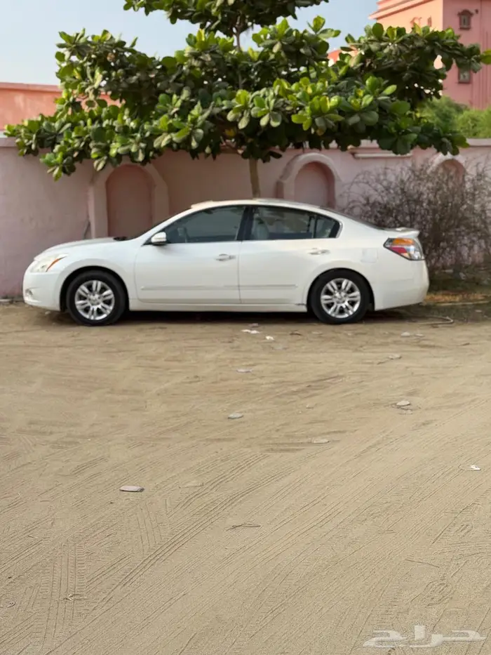 التيماء 2011 فل كامل 4 سرندل 0