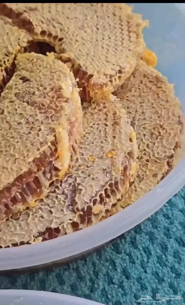 عسل قرض طبيعي 100 4