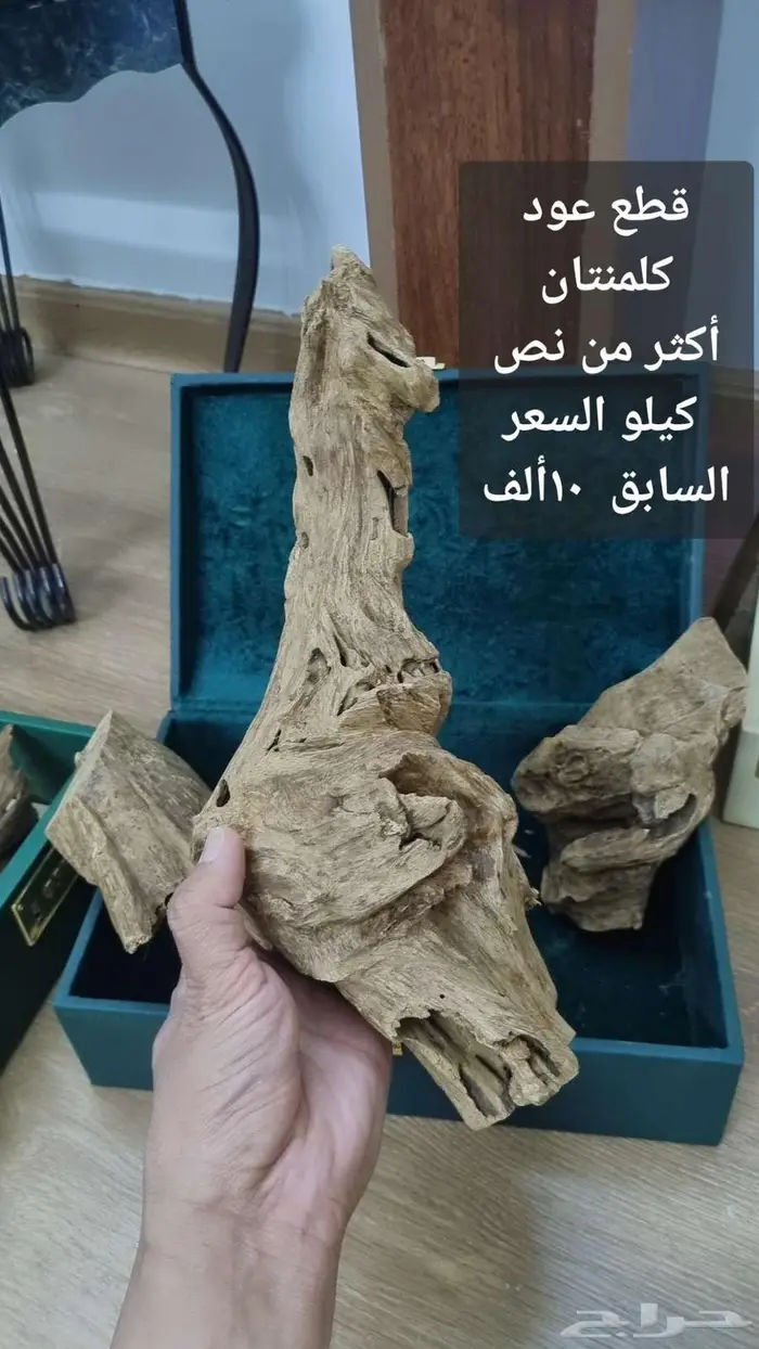 قطع كبيرة عود كلمنتان طبيعي للبيع أو البدل بتايجر او تايقر 0