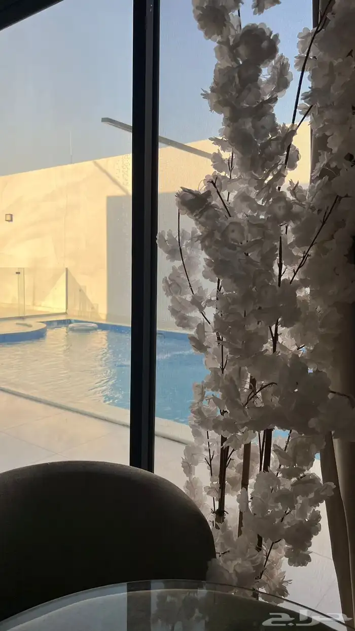 شالية للإيجار اليومي 0