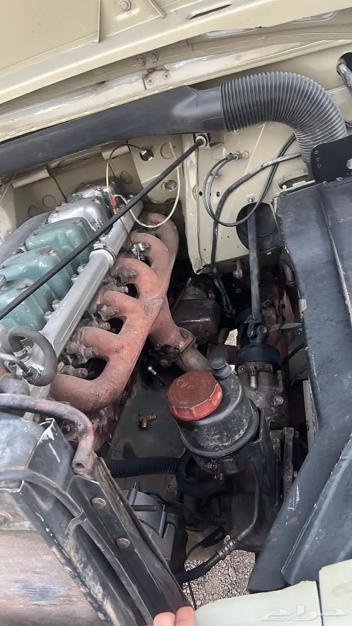 عايدي بوز 24 12