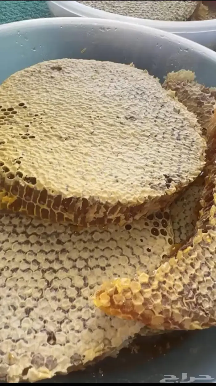عسل قرض طبيعي 100 1