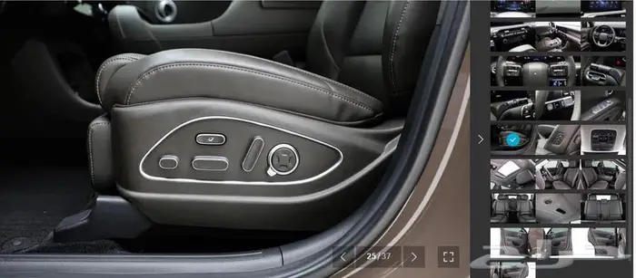 باليسيد 2025 (بنزين) كاليجرافي 16