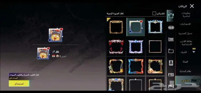 حساب ببجي نادر 2