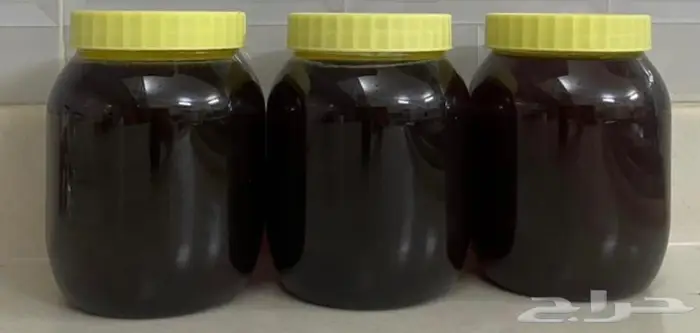 علبة واحده للبيع عسل سدر اصلي 0