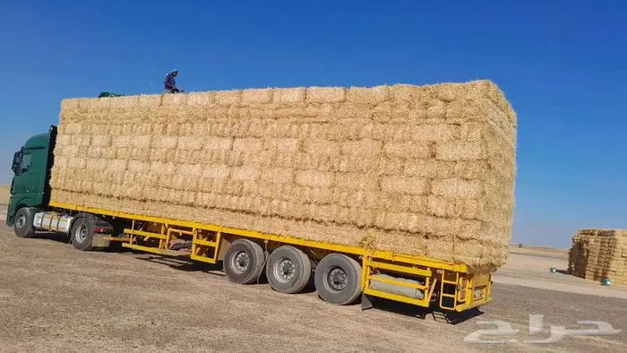 تبن قمح (بر) شد شركه كلاس 4