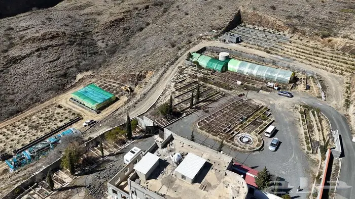 مطلوب مزارع 0