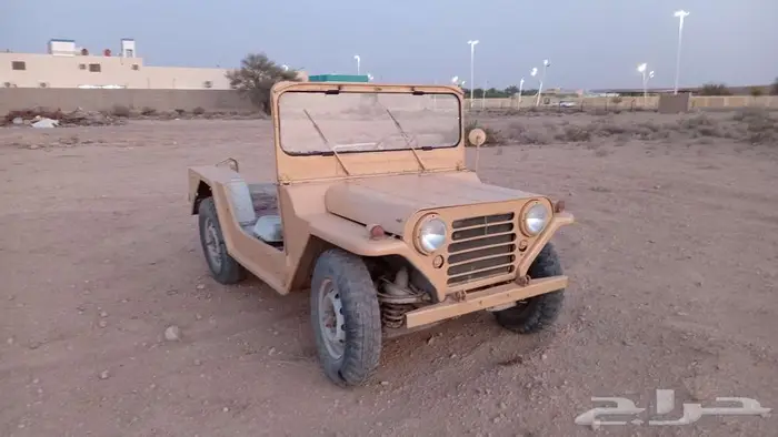 جيب ريو 1973 0