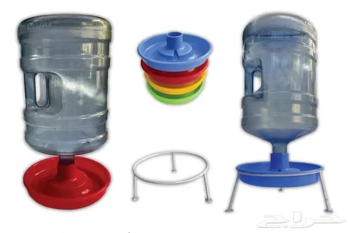 طيور زينة ومستلزماتها محل نوادر خميس مشيط 64