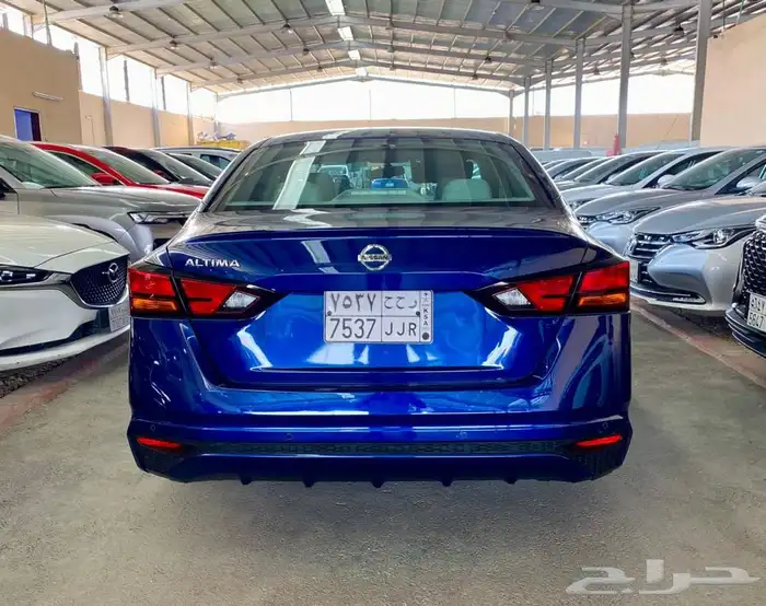 التيما ستاندر 2022 3