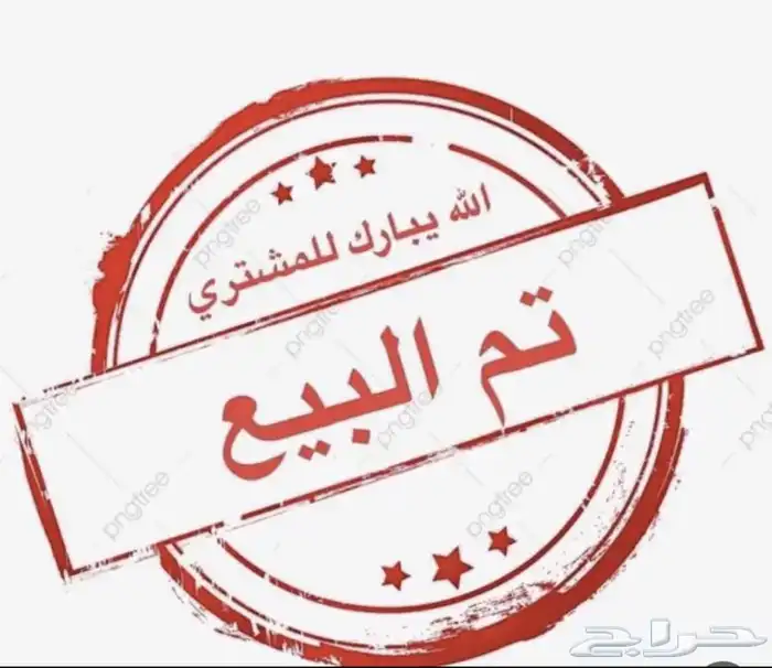 خروف نجدي بري لباني العمر خمس شهور يوجد سلخ وتوصيل 4