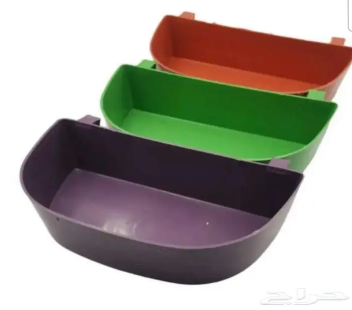 طيور زينة ومستلزماتها محل نوادر خميس مشيط 63